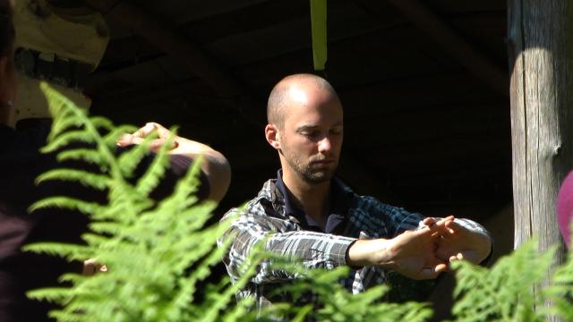 Transfiguration 2011 David W standing deer movements